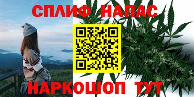 шишки Гусев