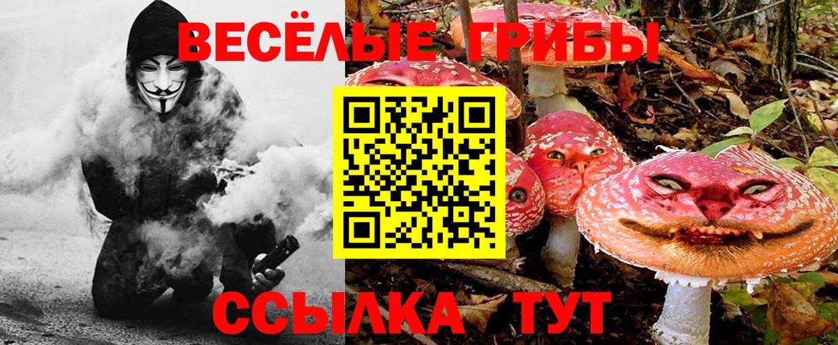Галлюциногенные грибы MAGIC MUSHROOMS  Псилоцибиновые грибы Psilocybe  Мелеуз  продажа наркотиков  Вход с VPN 